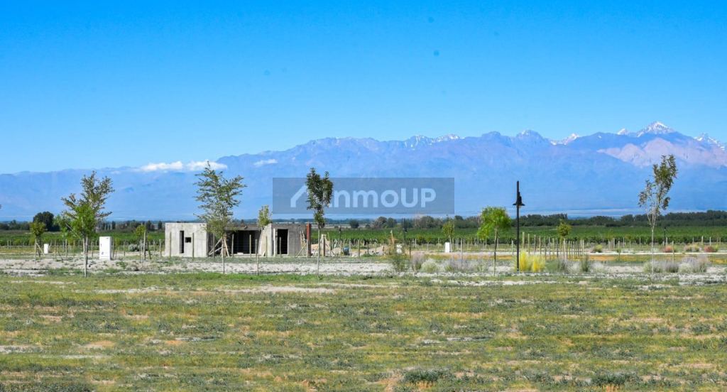 Terreno en Venta en Tupungato, Mendoza