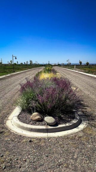 Terreno en Venta en Tupungato, Mendoza
