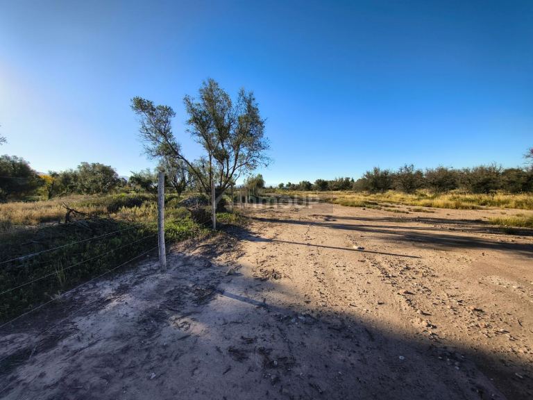 Terreno en Venta en Lujan de Cuyo, Mendoza