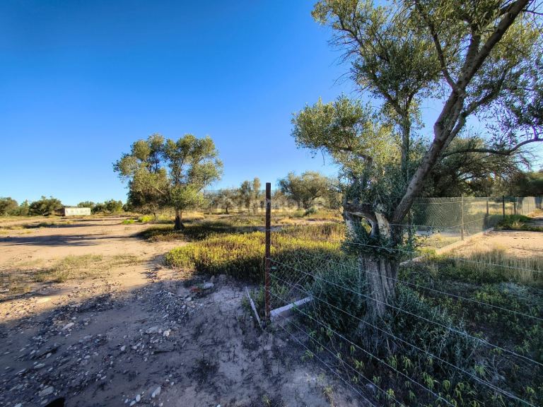 Terreno en Venta en Lujan de Cuyo, Mendoza
