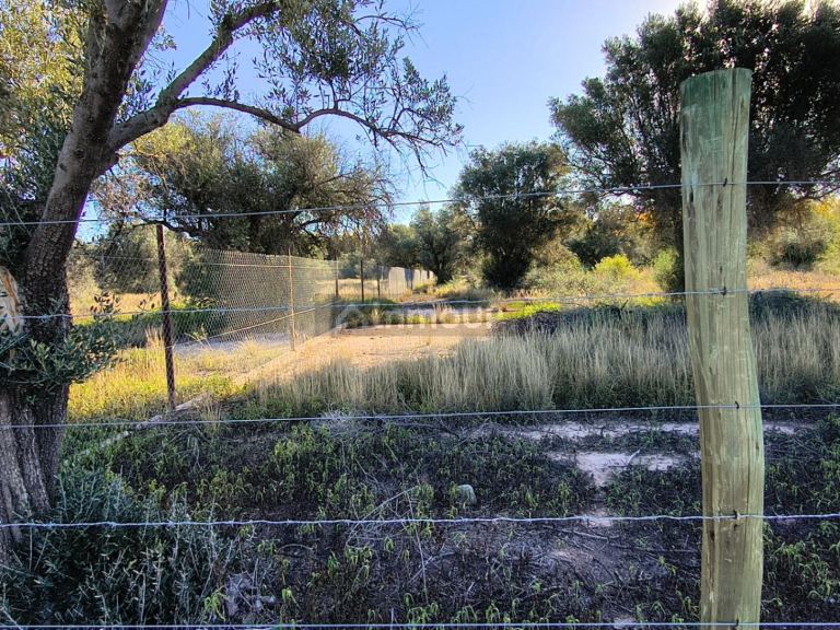 Terreno en Venta en Lujan de Cuyo, Mendoza