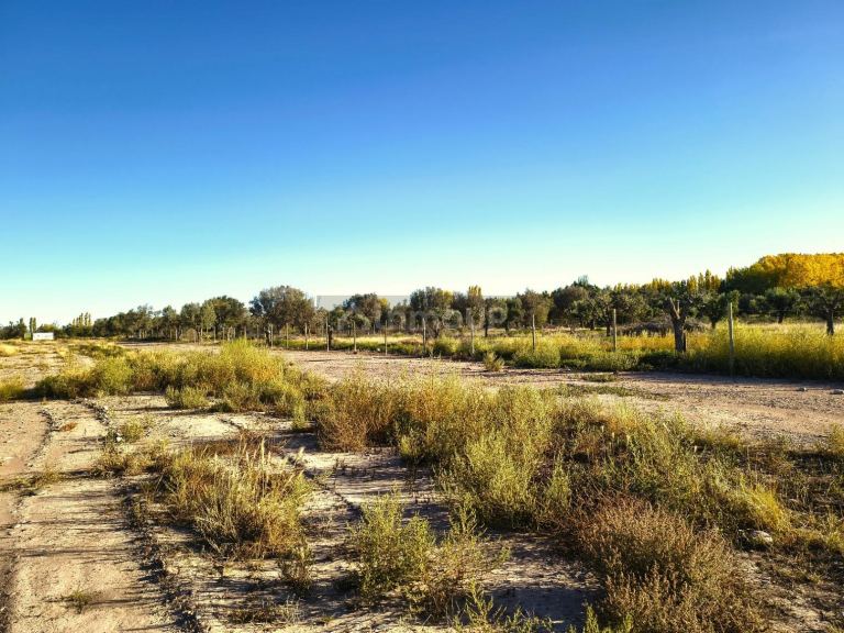 Terreno en Venta en Lujan de Cuyo, Mendoza