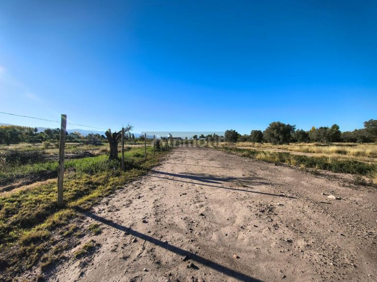 Terreno en Venta en Lujan de Cuyo, Mendoza