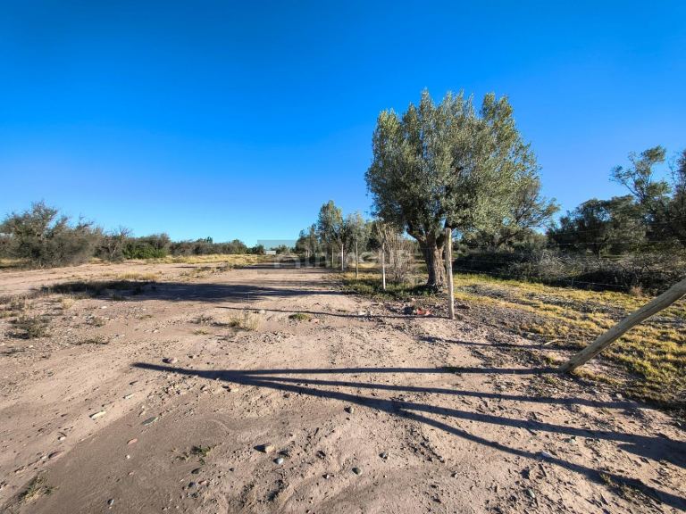Terreno en Venta en Lujan de Cuyo, Mendoza