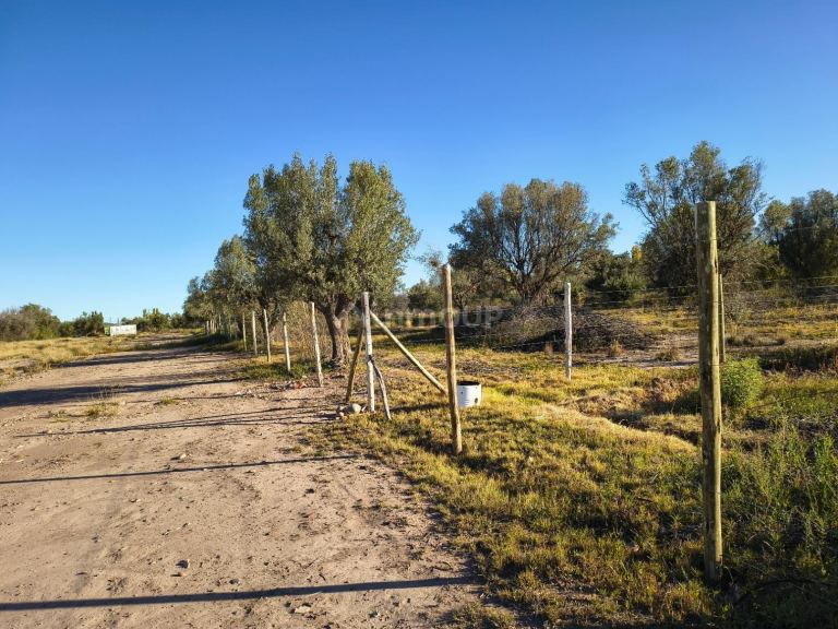 Terreno en Venta en Lujan de Cuyo, Mendoza