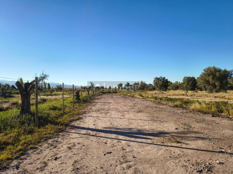 Terreno en Venta en Lujan de Cuyo, Mendoza