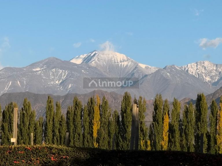 Terreno en Venta en Lujan de Cuyo, Mendoza