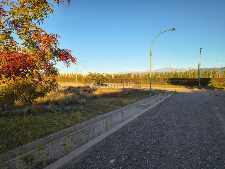 Terreno en Venta en Lujan de Cuyo, Mendoza