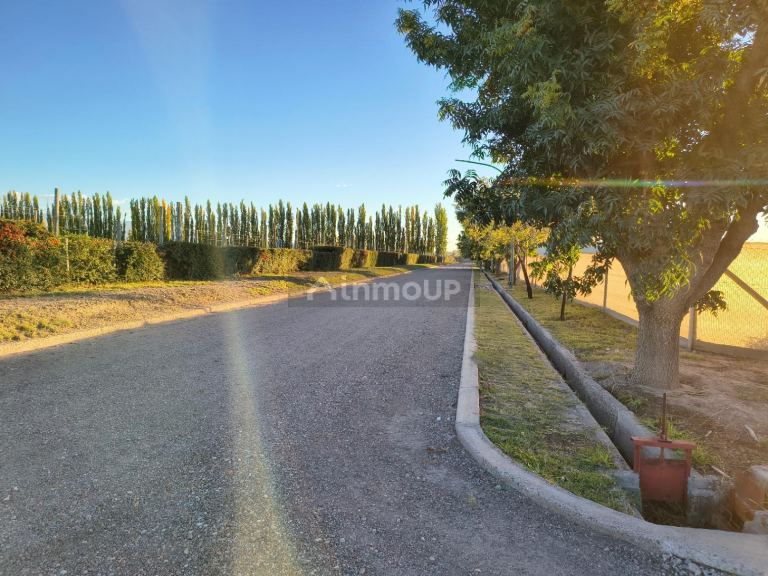 Terreno en Venta en Lujan de Cuyo, Mendoza