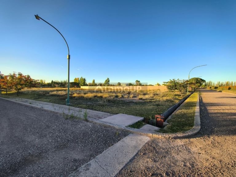 Terreno en Venta en Lujan de Cuyo, Mendoza