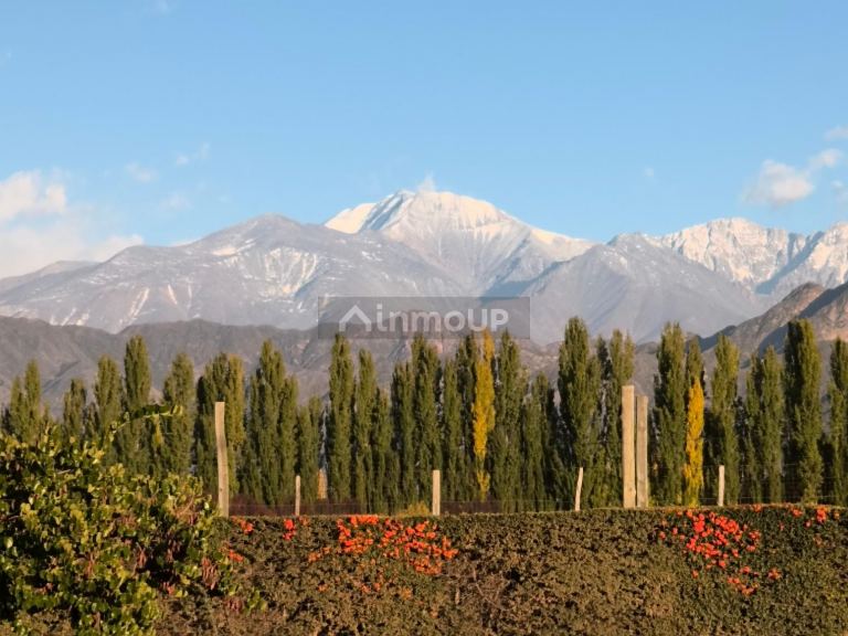 Terreno en Venta en Lujan de Cuyo, Mendoza