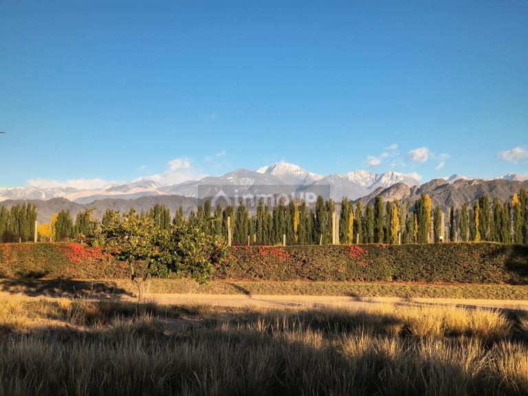 Terreno en Venta en Lujan de Cuyo, Mendoza