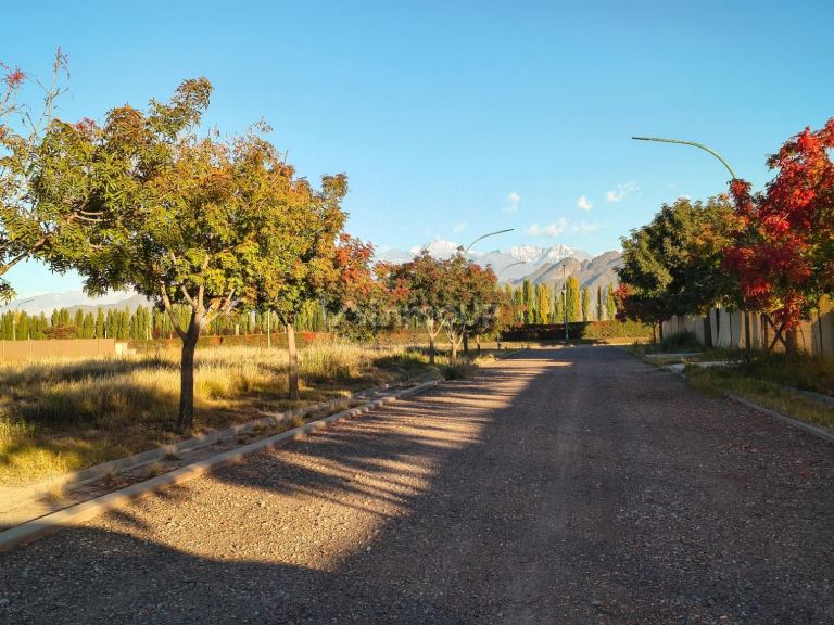 Terreno en Venta en Lujan de Cuyo, Mendoza