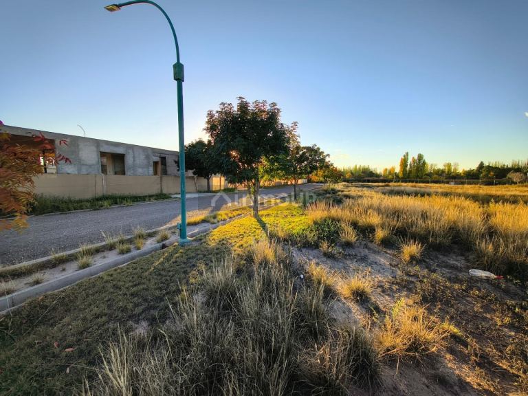 Terreno en Venta en Lujan de Cuyo, Mendoza