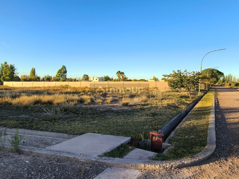 Terreno en Venta en Lujan de Cuyo, Mendoza