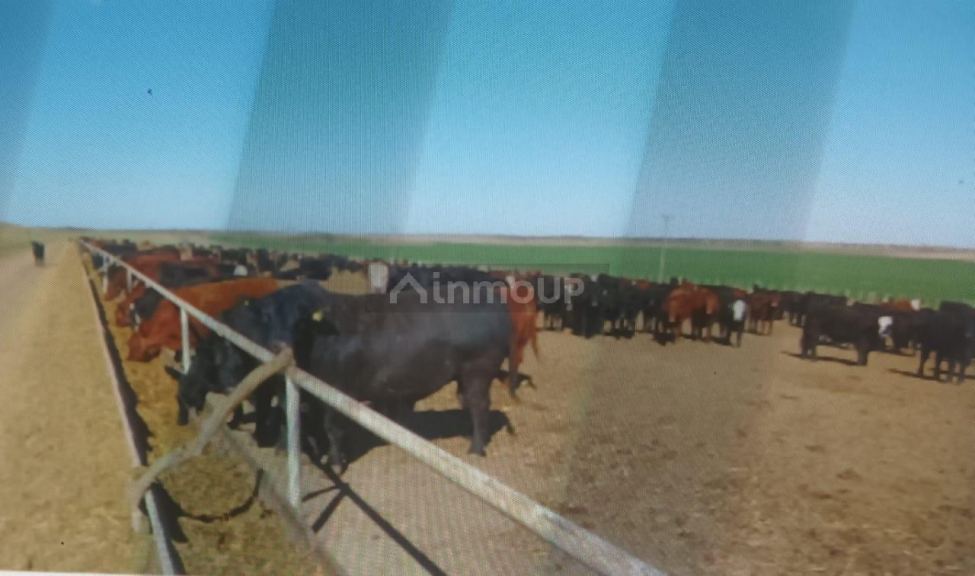 Campo en Venta en Gvdor. Dupuy, San Luis
