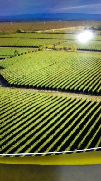 Finca en Venta en Tupungato, Mendoza
