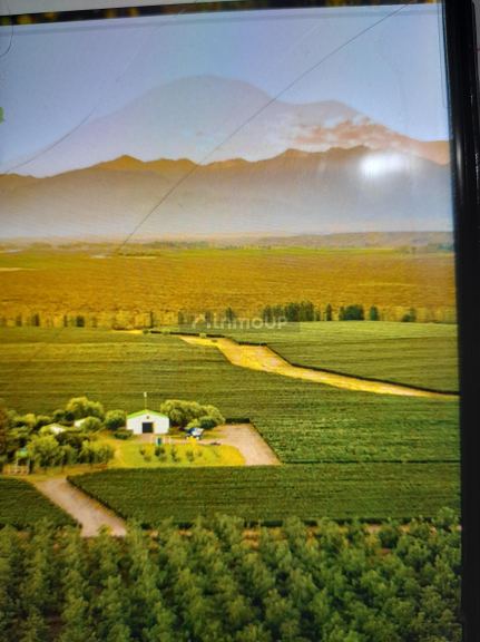 Finca en Venta en Tupungato, Mendoza
