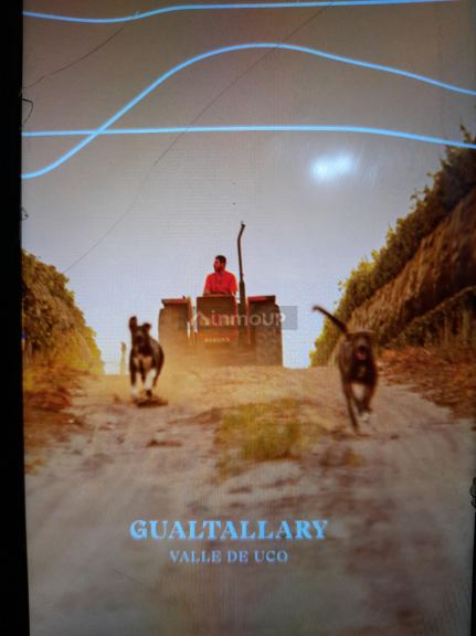 Finca en Venta en Tupungato, Mendoza