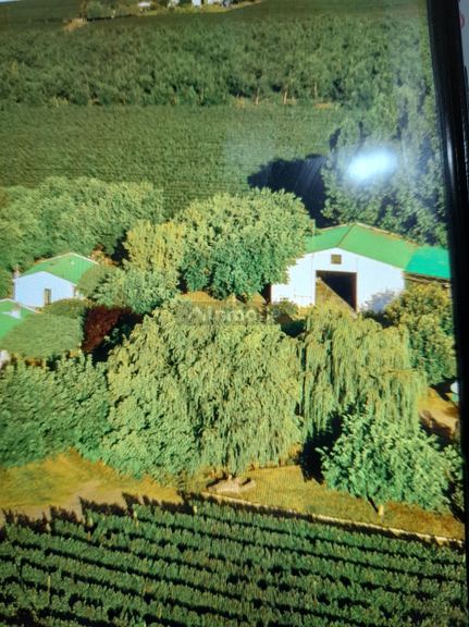 Finca en Venta en Tupungato, Mendoza