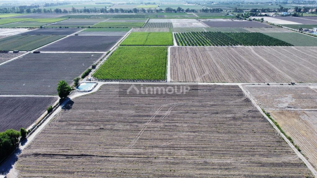 Finca en Venta en Pocito, San Juan