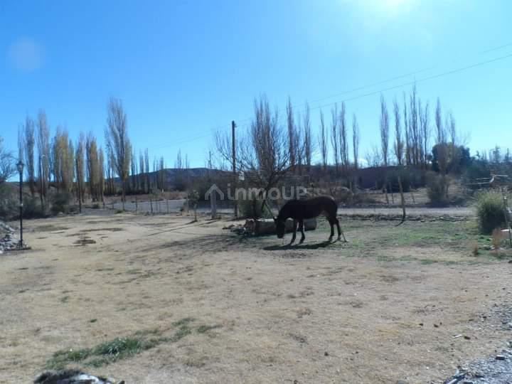 Cabaña en Venta en Calingasta, San Juan