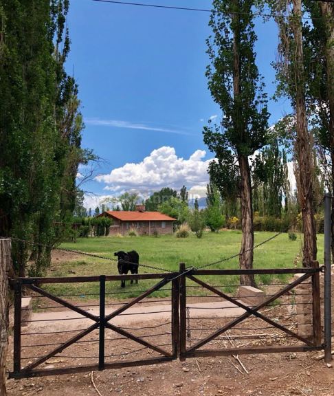 Casa en Venta en Calingasta, San Juan