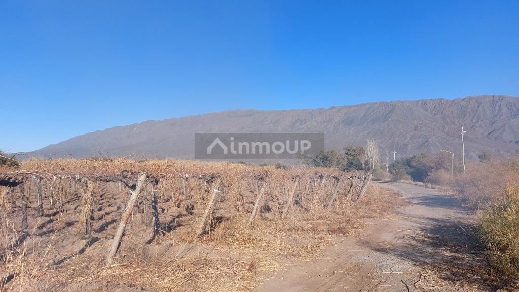 Terreno en Venta en Zonda, San Juan
