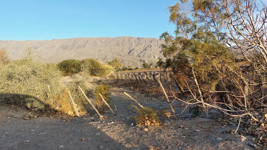 Terreno en Venta en Zonda, San Juan