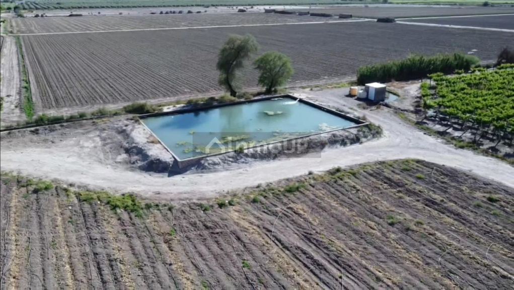 Finca en Venta en Pocito, San Juan