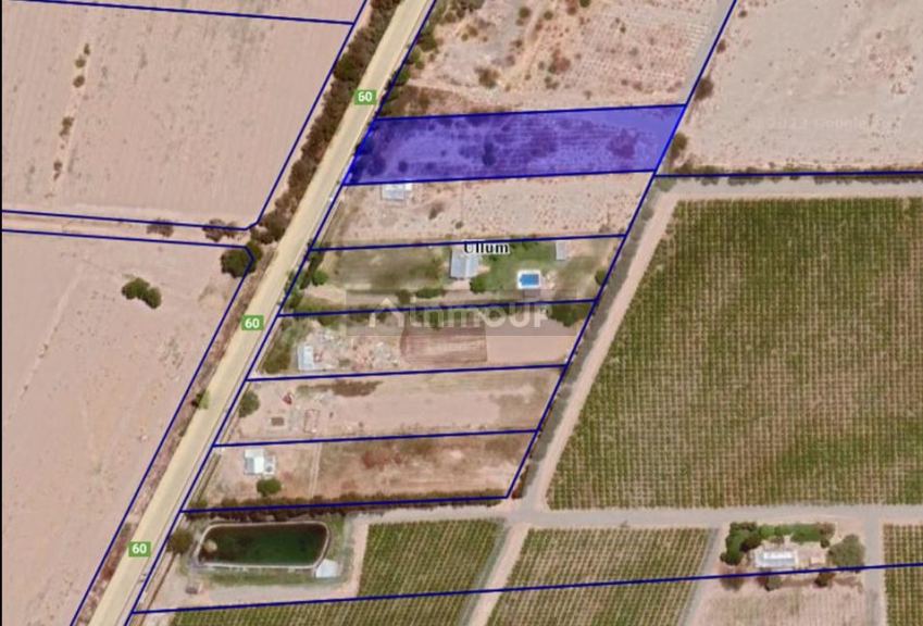 Terreno en Venta en Ullum, San Juan