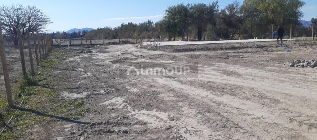 Terreno en Venta en Ullum, San Juan