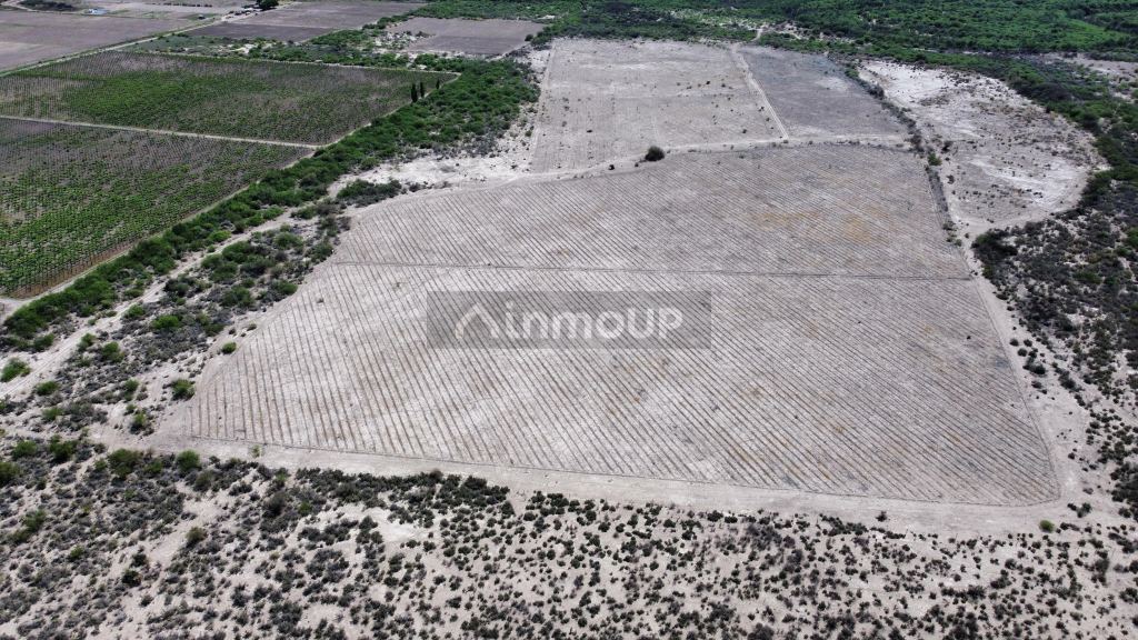 Campo en Venta en Sarmiento, San Juan