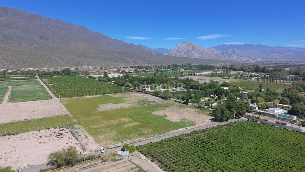 Terreno en Venta en Zonda, San Juan