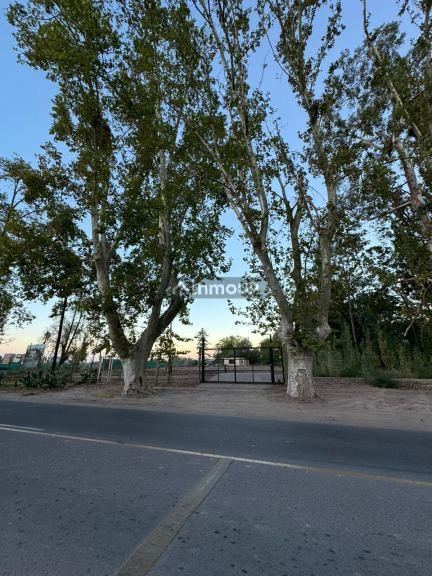 Lote en Venta en Lujan de Cuyo, Mendoza