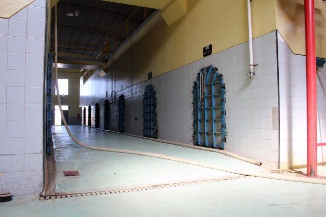 Bodega en Venta en San Martin, Mendoza