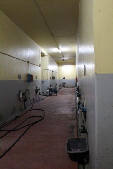 Bodega en Venta en San Martin, Mendoza