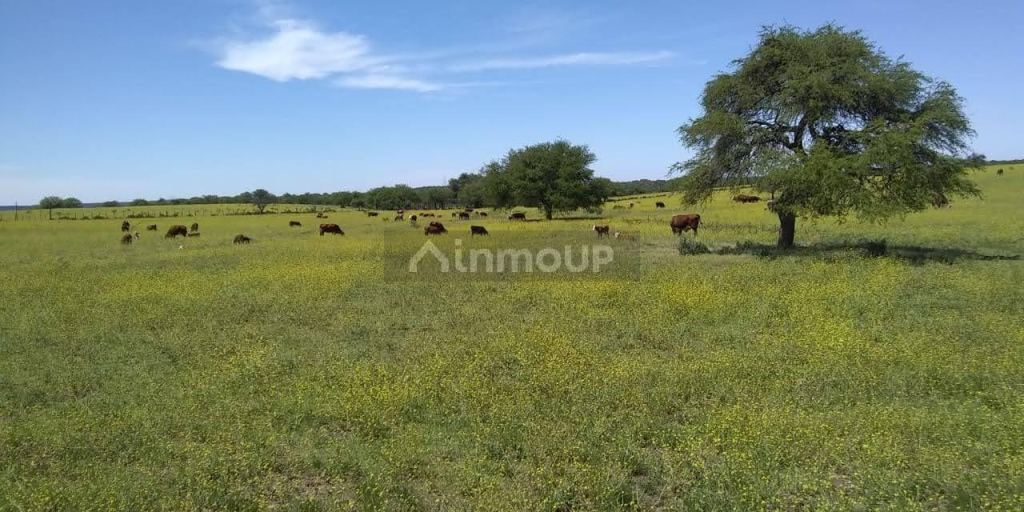 Campo en Venta en Coronel Pringles, San Luis