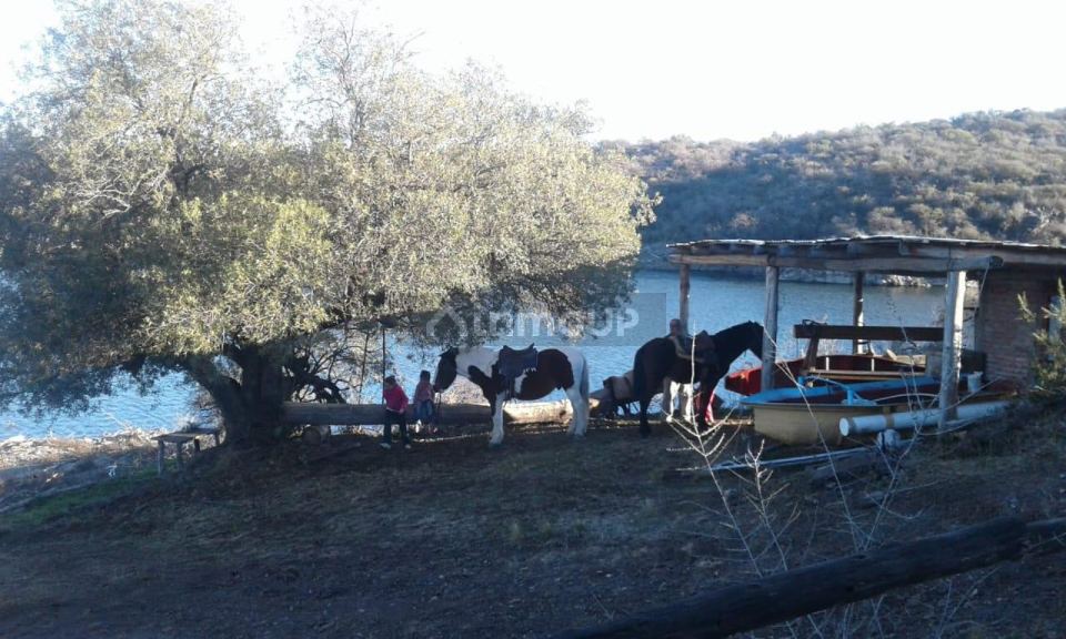 Campo en Venta en Coronel Pringles, San Luis