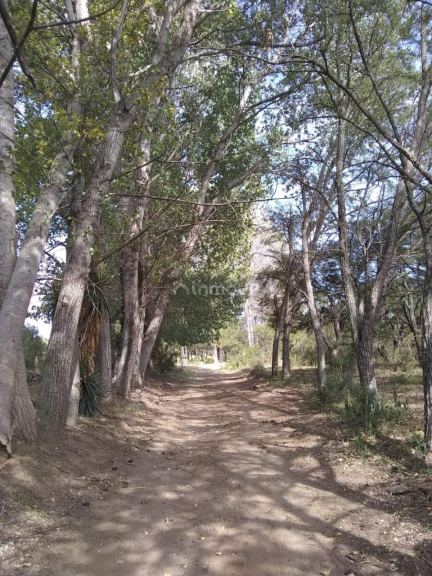 Campo en Venta en Coronel Pringles, San Luis