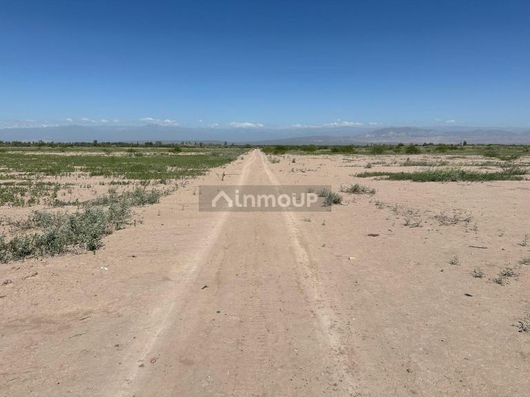 Finca en Venta en Lavalle, Mendoza