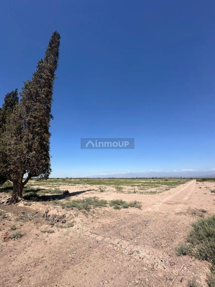 Finca en Venta en Lavalle, Mendoza
