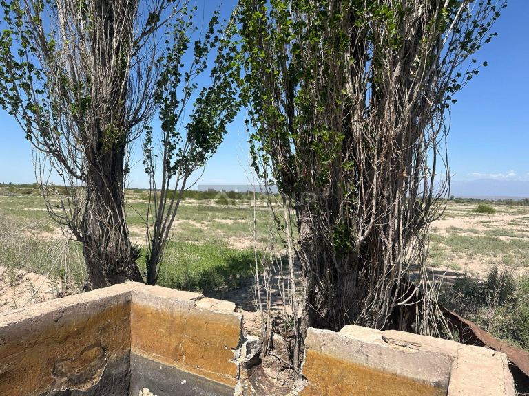 Finca en Venta en Lavalle, Mendoza