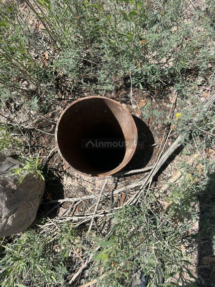 Finca en Venta en Lavalle, Mendoza