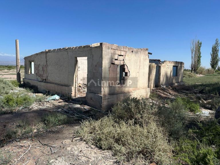 Finca en Venta en Lavalle, Mendoza