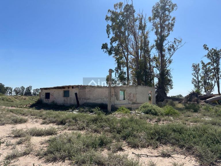 Finca en Venta en Lavalle, Mendoza