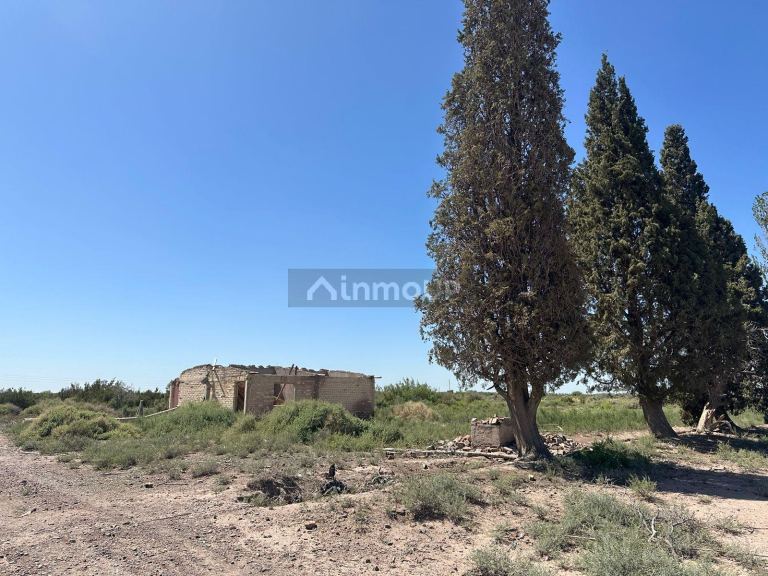 Finca en Venta en Lavalle, Mendoza