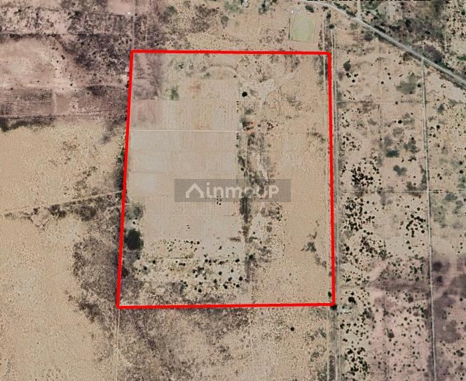 Finca en Venta en Lavalle, Mendoza
