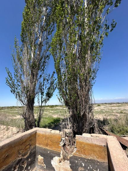 Finca en Venta en Lavalle, Mendoza