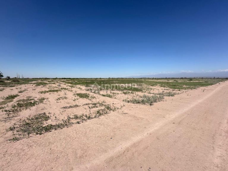 Finca en Venta en Lavalle, Mendoza